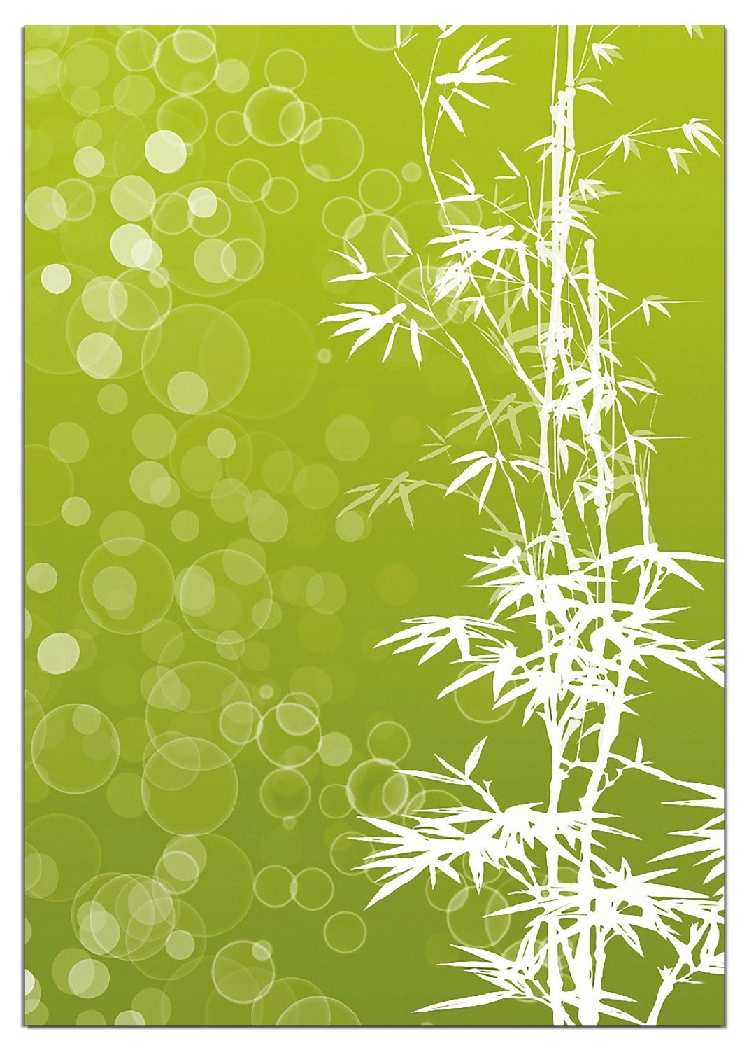 buying peyote cactus San Pedro Cactus for Sale Trichocereus main image 1