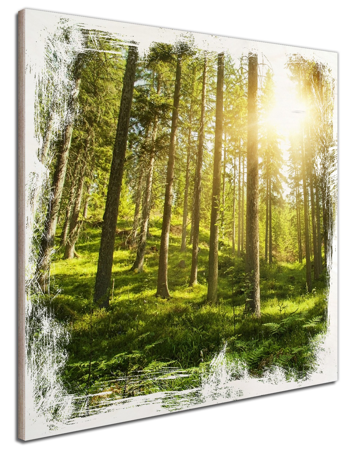 Holzbild Sonnenstrahlen im Nadelwald mit Moos und Farn | Wallario.de