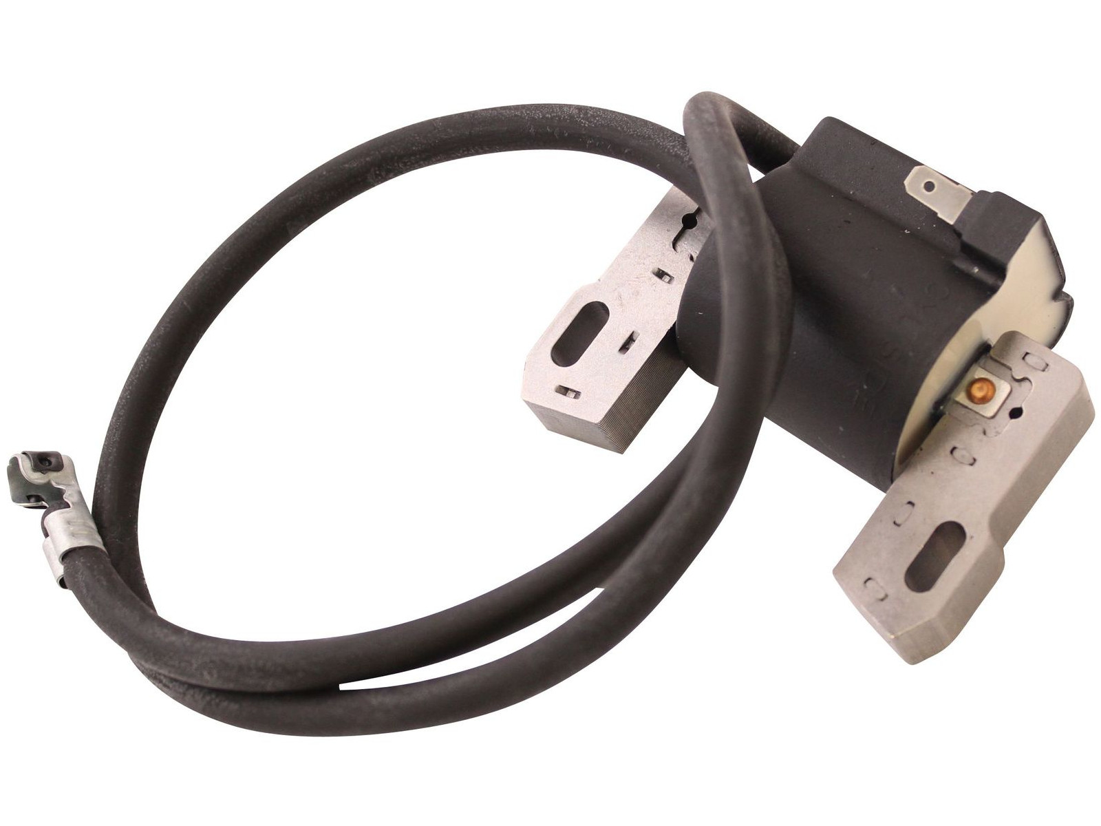 Zündspule Für Briggs & Stratton 490586 491312 492341 495859 591459 690248 Motor