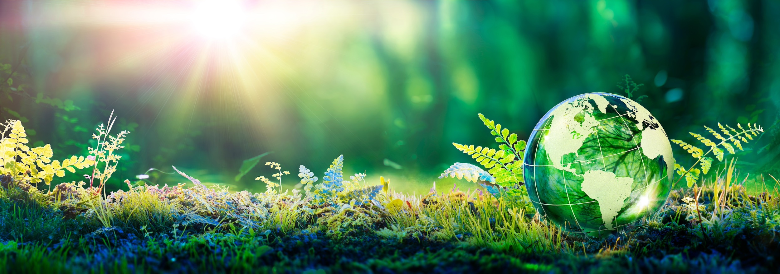 Naturmotiv mit Waldboden, Sonnenschein und gläsernem Globus