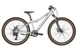 Raw Alloy