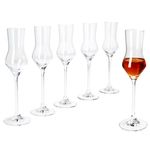 6er Set SPECIALS SPIRITS Grappa-Gläser - 260700_Bild_1