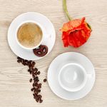 6er Set TOMMY Kaffeetasse mit Untertasse weiß Porzellan_Bild_5