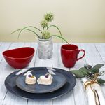 16tlg Kombiservice NATURAL blau & rot für 4 Personen aus Steingut - 582711_Bild_3