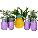 5tlg Party-Set PINA 4x Colada Gläser & 1x Schale mit Ananas-Relief – 4x 992427 & 1x PIYG3022_Bild_1