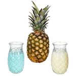 5tlg Party-Set PINA 4x Colada Gläser & 1x Schale mit Ananas-Relief – 4x 992427 & 1x PIYG3022_Bild_6