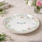 05-R1372-FGAR-Easy-Life-Fancy-Garden-Libelle-Kuchenteller-16-3cm-2sort-Ambientebild-02.jpg