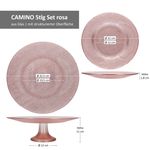 06-84755-84809-Arte-Regal-Vivalto-Camino-Tortenplatte-Desserteller-Glas-rosa-Bemassung.jpg