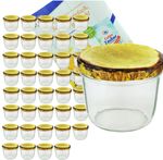 40er Set Sturzglas 230 ml mit Holzdekor Deckel inkl. Diamant Gelierzauber Rezeptheft_Bild_1