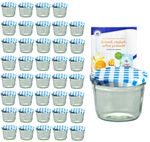 40er Set Sturzglas 230 ml mit blau kariertem Deckel inkl. Diamant Gelierzauber Rezeptheft_Bild_1