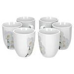 6er Set Kaffeebecher Vanda weiße Orchidee 33cl_Bild_1