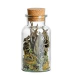 Kräutern & Gewürzen _Bild_6