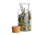 Kräutern & Gewürzen _Bild_5