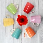 6er Set Kaffeebecher Uni Bunt_Bild_7