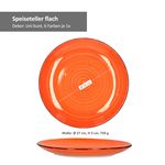 6er Set Speiseteller Uni Bunt_Bild_2