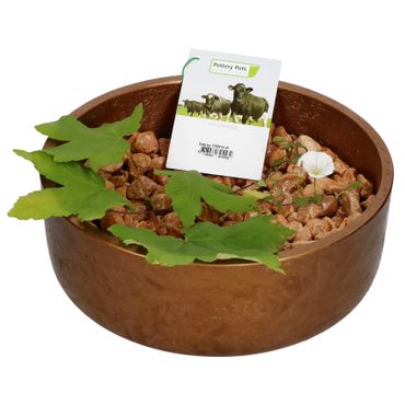 Ethan Dekoschale Größe: S Bronze Ø 24 cm - P3038-S1-35