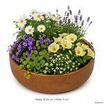 ChatGPT-Image-24--Apr--2026--07-01-20.png