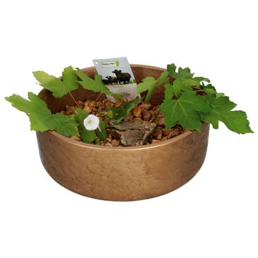 Ethan Dekoschale Größe: M Bronze Ø 29 cm - P3039-S1-35