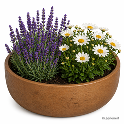 ChatGPT-Image-24--Apr--2026--09-49-04-Kopie.png ChatGPT-Image-24--Apr--2026--09-49-04-Kopie.png
