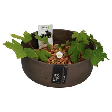 Ethan Dekoschale Größe: M Dunkelbraun Ø 29 cm - P3039-S1-37