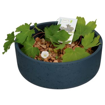 Ethan Dekoschale Größe: M Blau Ø 29 cm - P3039-S1-38