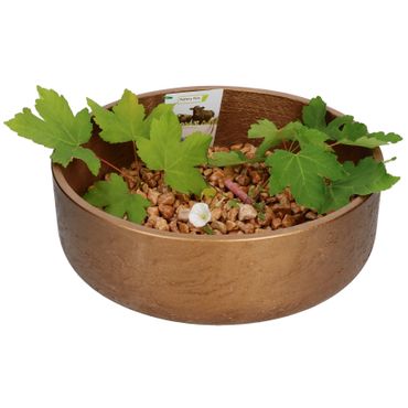 Ethan Dekoschale Größe: L Bronze Ø 35 cm - P3040-S1-35