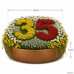 ChatGPT-Image-24--Apr--2026--08-14-17-Kopie.png ChatGPT-Image-24--Apr--2026--08-14-17-Kopie.png