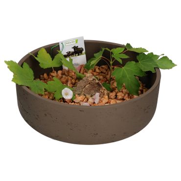 Ethan Dekoschale Größe: L Dunkelbraun Ø 35 cm - P3040-S1-37