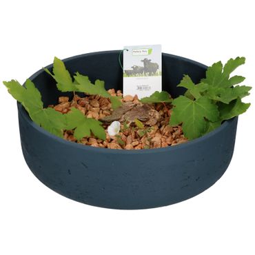 Ethan Dekoschale Größe: L Blau Ø 35 cm - P3040-S1-38