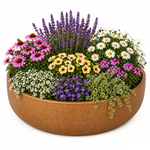 ChatGPT-Image-24--Apr--2026--07-16-01-Kopie.png
