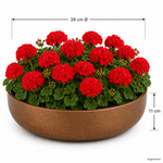 ChatGPT-Image-24--Apr--2026--08-30-46.png