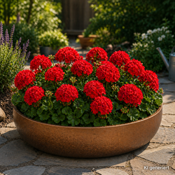 ChatGPT-Image-24--Apr--2026--08-33-52.png ChatGPT-Image-24--Apr--2026--08-33-52.png