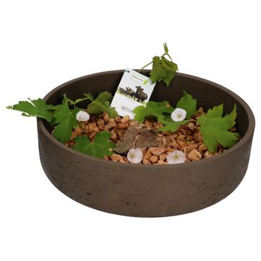 Ethan Dekoschale Größe: XL Dunkelbraun Ø 39 cm - P3041-S1-37