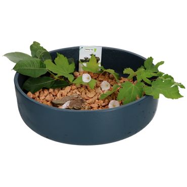 Ethan Dekoschale Größe: XL Blau Ø 39 cm - P3041-S1-38