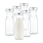 6er Set Weithalsflasche Karaffe 250 ml + To 53 Deckel silber_Bild_1