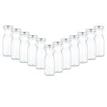 12er Set Weithalsflasche Karaffe 250 ml + To 53 Deckel silber_Bild_2