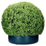 Größe S - F1003-52-91_Bild_1