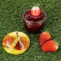 Sturz-TO82-Honigwabe-Deckel-230er-Ambientebild-Rasen.jpg 40er Set Sturzglas 230 ml Carino To 82 Deckel mit Honigwabe incl. Diamant Gelierzauber Rezeptheft_Bild_7