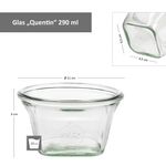 9er Set Weck Quentin 290 ml + 9 Glasdeckel mit Rezeptheft_Bild_3
