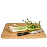 5cm - 24501324_Bild_1