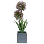 B. F. Topfpflanze LAUCH lila aus Kunststoff - 1012228_Bild_1