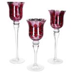 B. F. 3tlg Set Windlicht Manou Rot hell - 1015760_Bild_2