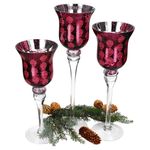 B. F. 3tlg Set Windlicht Manou Rot dunkel - 1015760_Bild_2