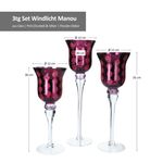 B. F. 3tlg Set Windlicht Manou Rot dunkel - 1015760_Bild_4