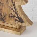 00 cm - 2005382_Bild_3