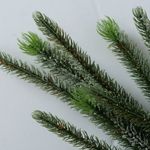 B. Tannengirlande Kiefer Kerstmis - 2011502_Bild_2