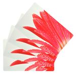 4er Set Tischsets / Platzsets aus Kunststoff im ansprechenden rosa Blumenmotiv_Bild_2