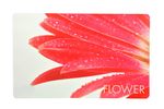 4er Set Tischsets / Platzsets aus Kunststoff im ansprechenden rosa Blumenmotiv_Bild_1