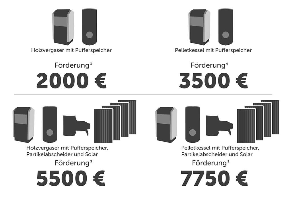 BAFA-Biomasse-Förderung Beispiel