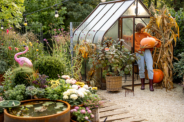 Frau mit Kürbis im herbstlichen Garten